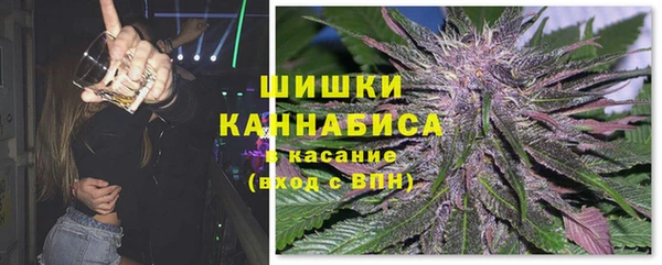 дмт Богданович